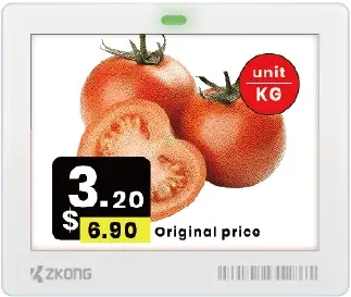 ZKONG ZKC42B · 4,2″